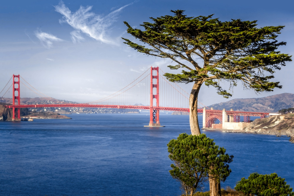 San Francisco with Sidelines