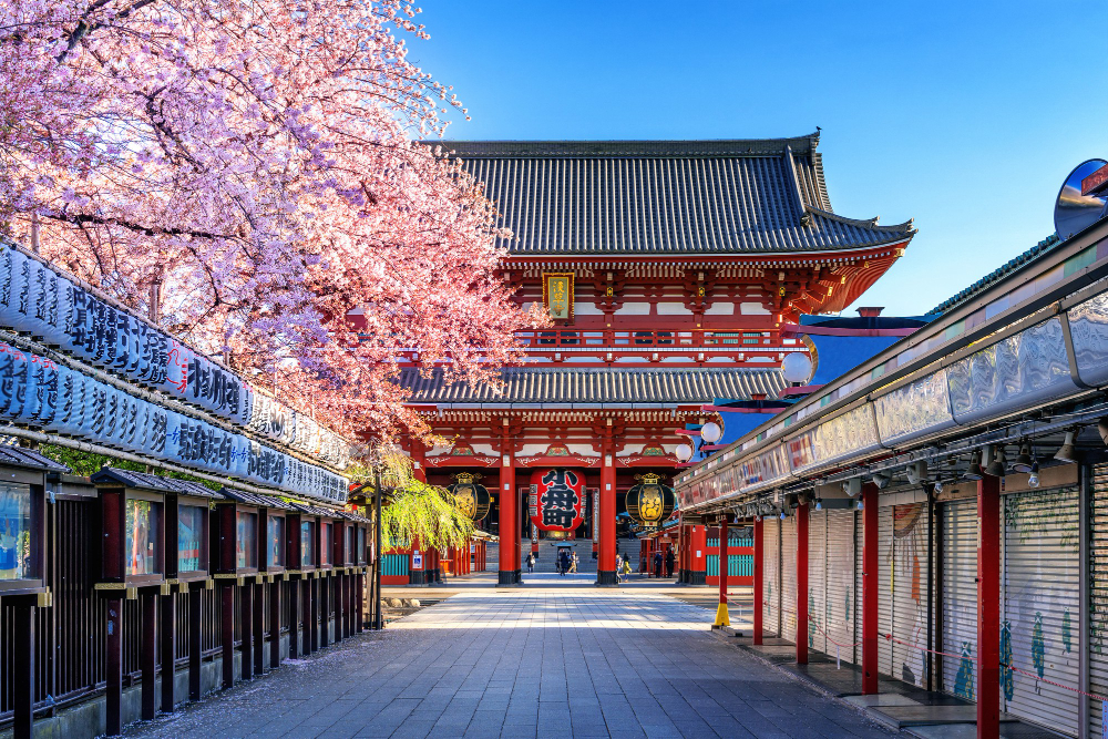 Tokyo with Sidelines